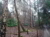 Wed 17th February 2010