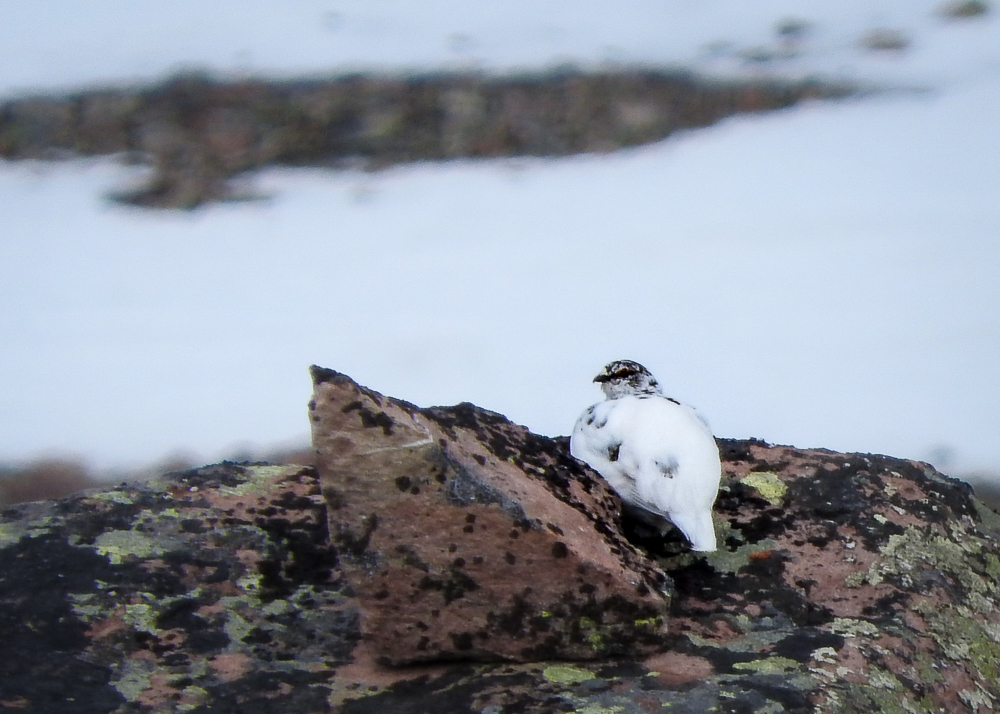 Norway - Day 10
