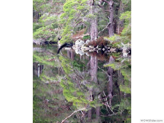 Loch Garten Loch Garten